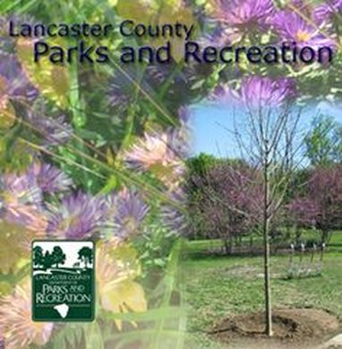 image of a tree with the Lancaster County Department of Parks & Rec logo